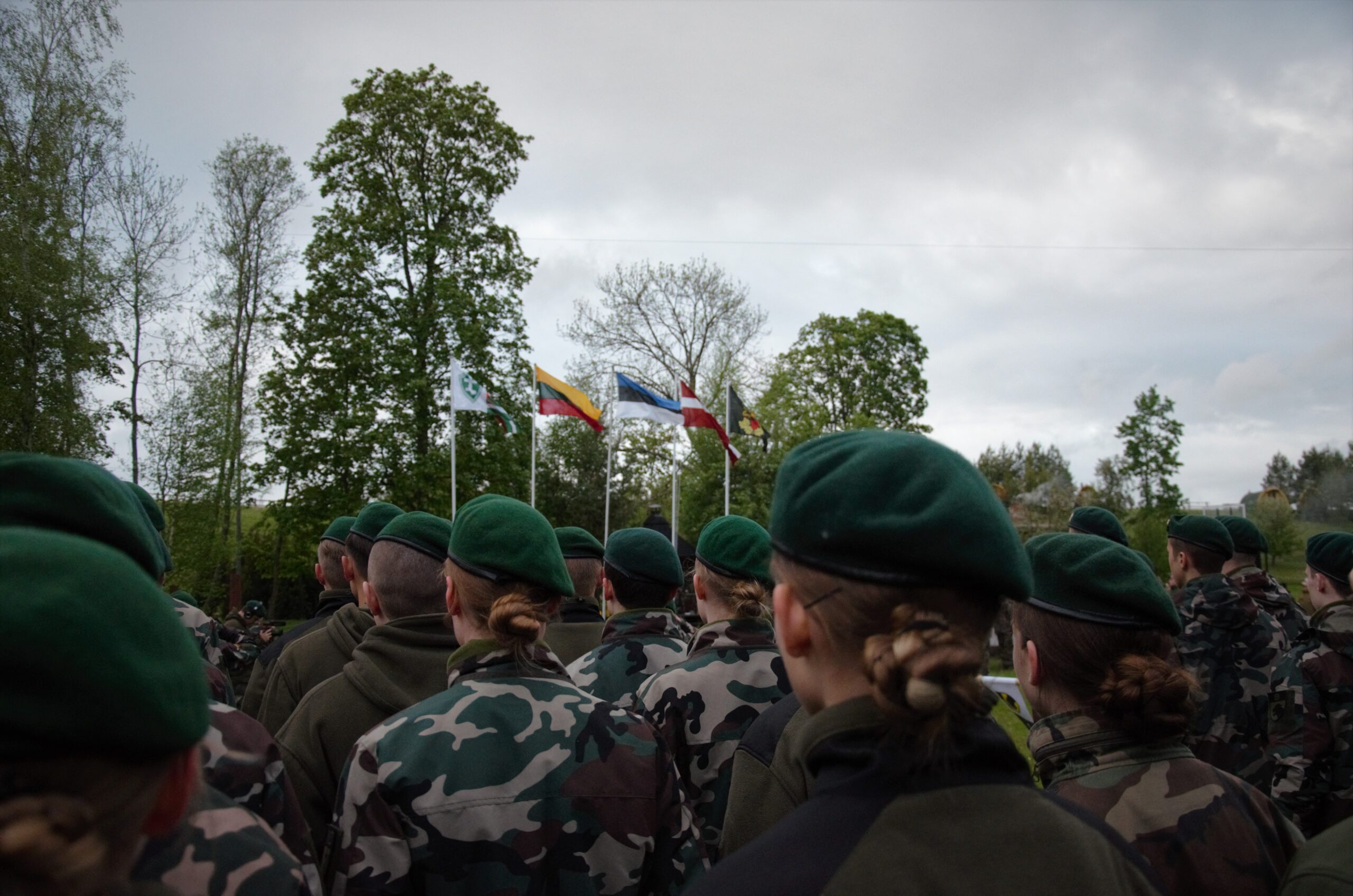 DSC_6465 (2)